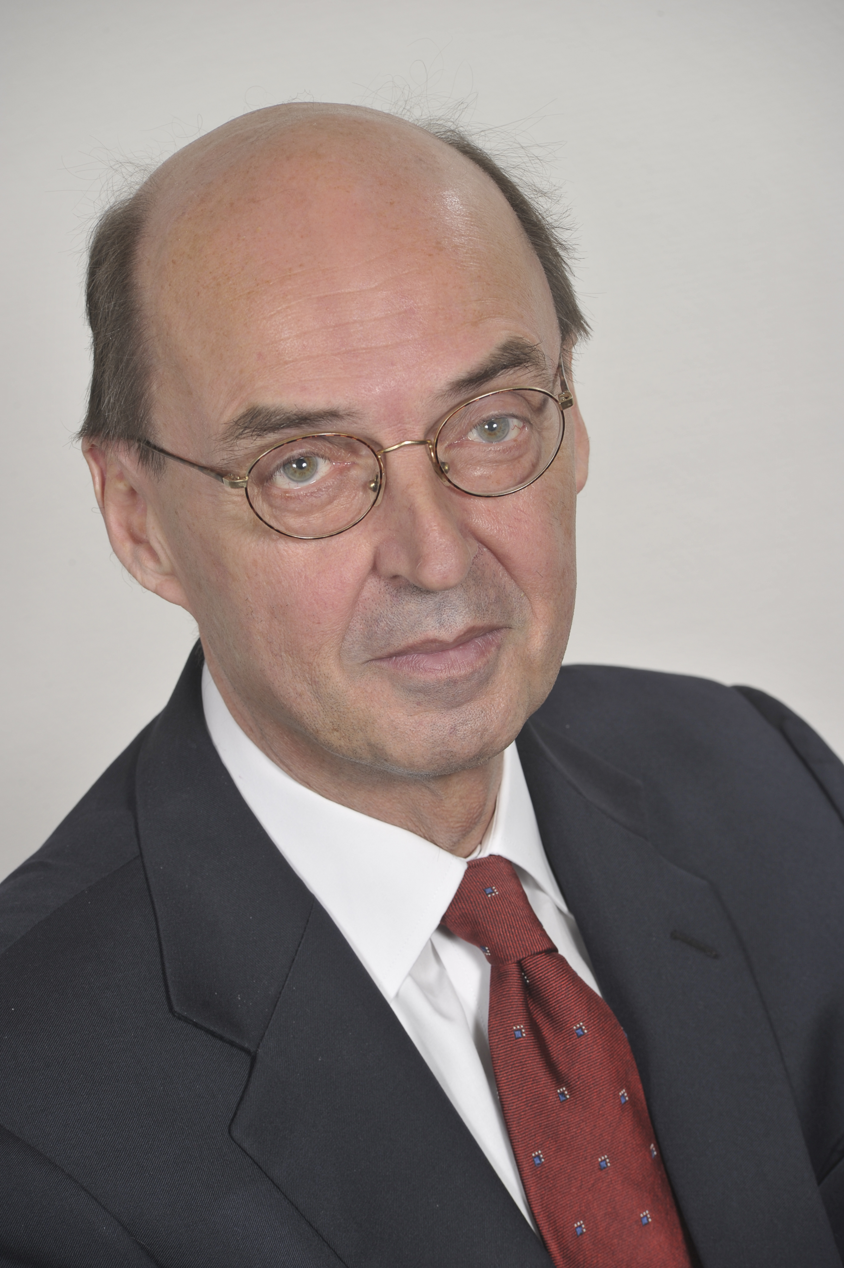 Prof. Albert Jan VAN DEN BERG 