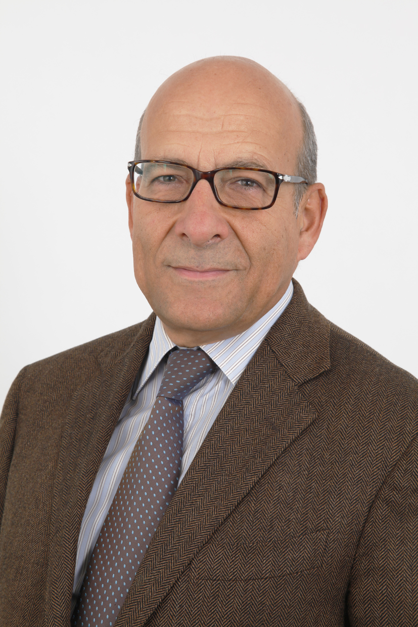 Prof. Laurent Aynès 
